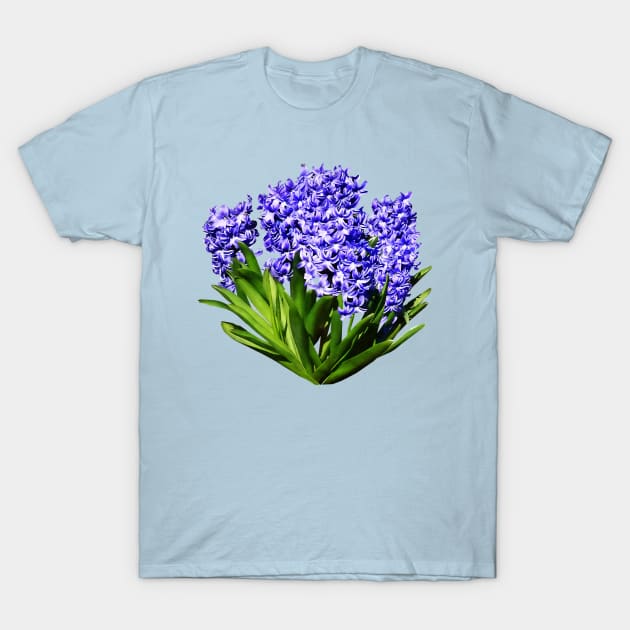 Purple Hyacinths T-Shirt by SusanSavad